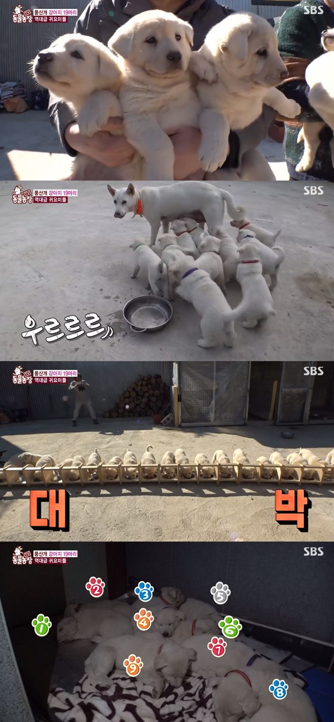  ǳ갳
