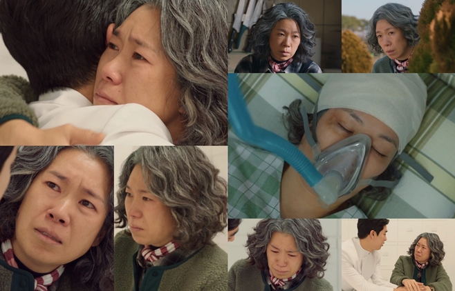 ���̷ο� �ҹ� ������