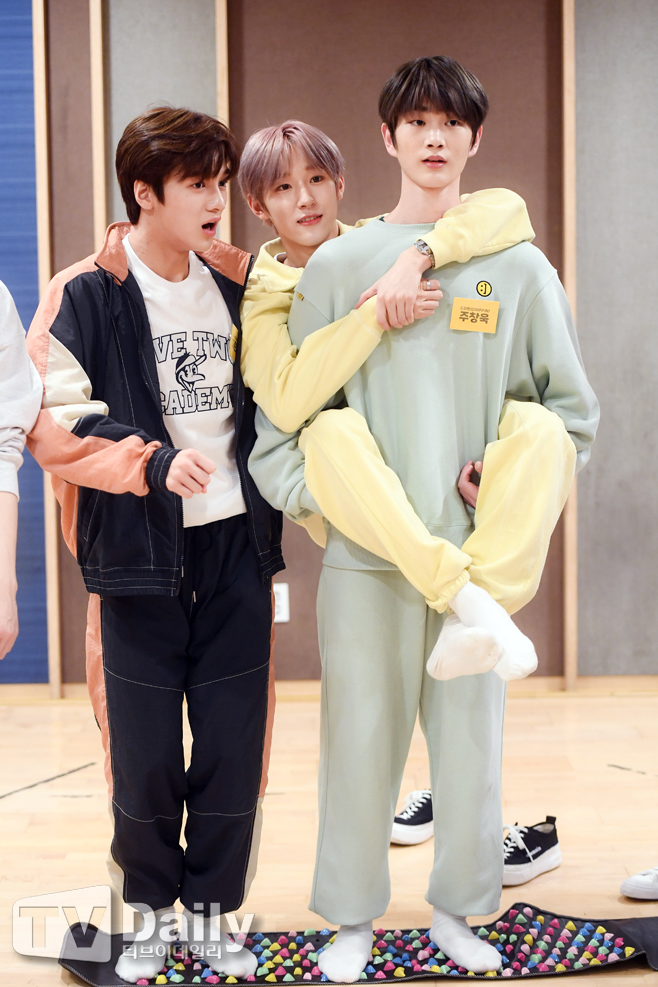 ƼºêÀ̵¥Àϸ® Æ÷Åä