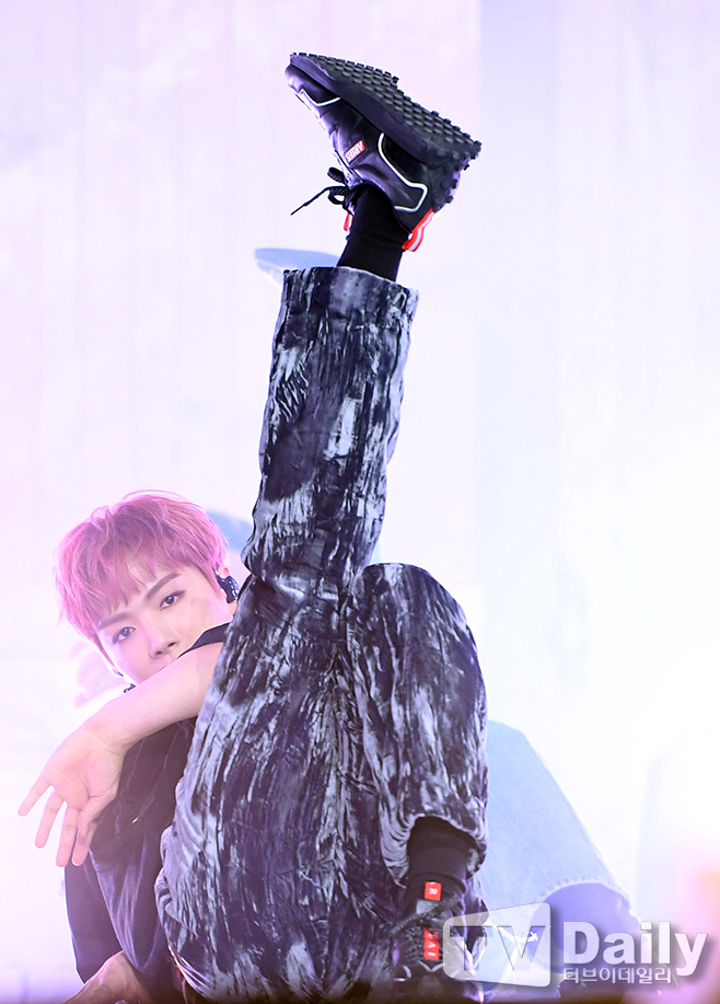 ƼºêÀ̵¥Àϸ® Æ÷Åä