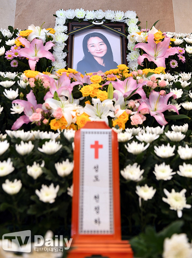 ƼºêÀ̵¥Àϸ® Æ÷Åä