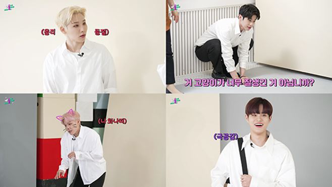 AB6IX ¿¡À̺ñ½Ä½º