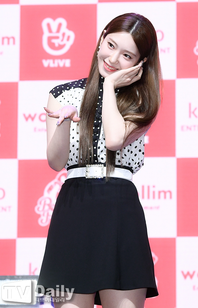 ƼºêÀ̵¥Àϸ® Æ÷Åä