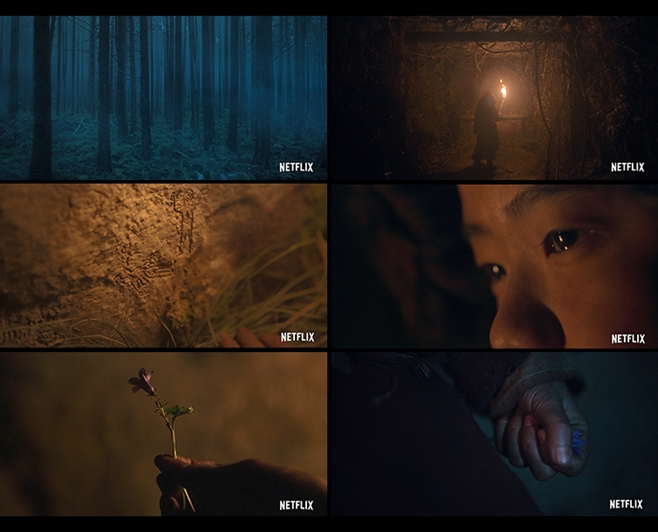 ŷ�� �ƽ���