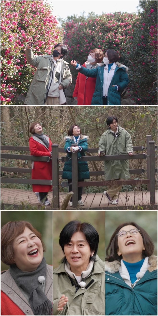 �� ���� ���� ���ۿ�