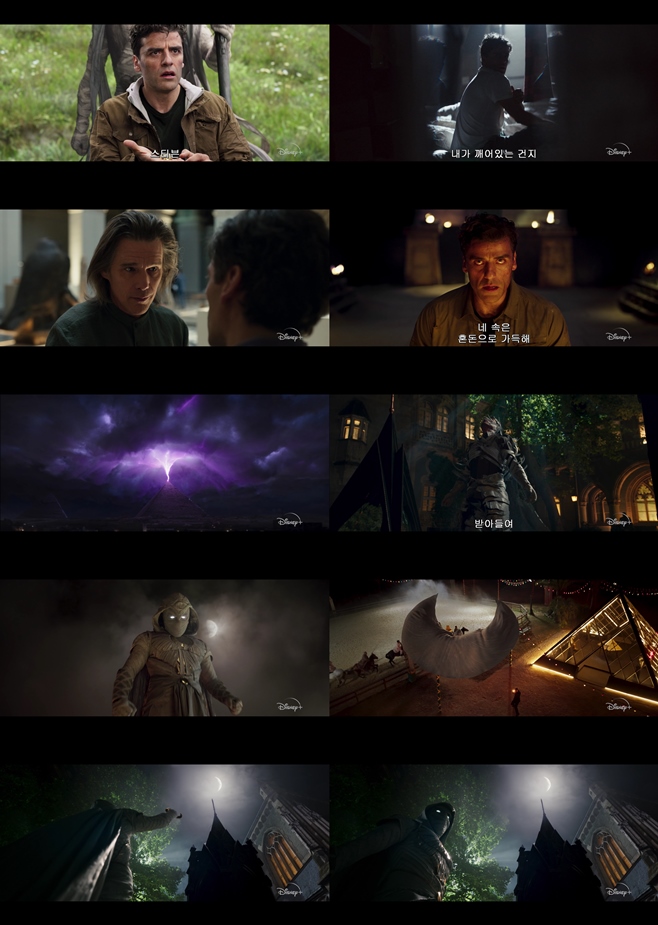 ������Ʈ