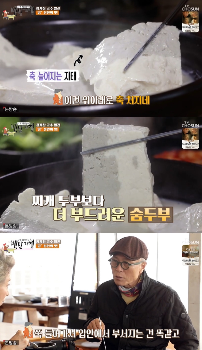 �İ� �㿵���� ��ݱ���