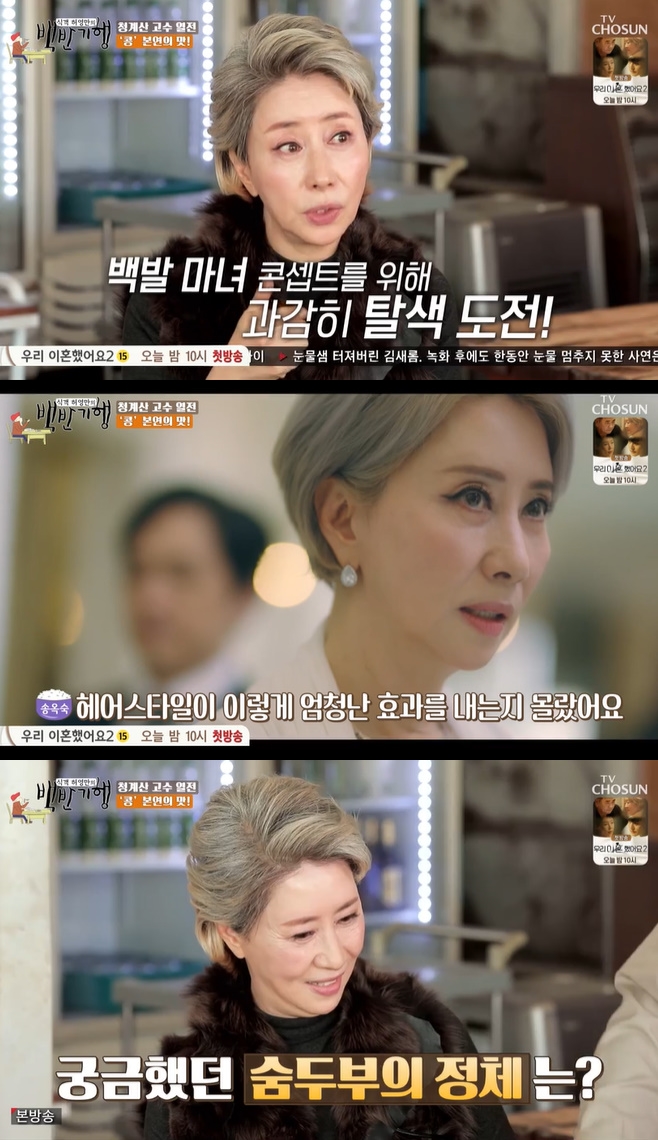 �İ� �㿵���� ��ݱ���