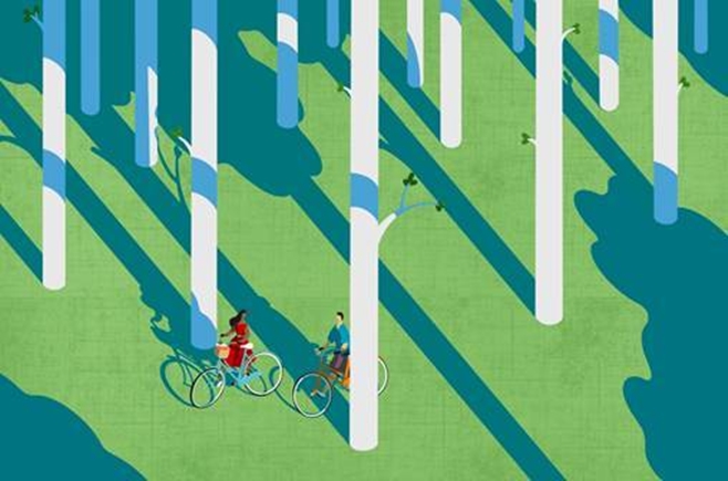 ���ø���