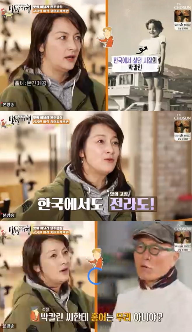 ½Ä°´ Ç㿵¸¸ÀÇ ¹é¹Ý±âÇà