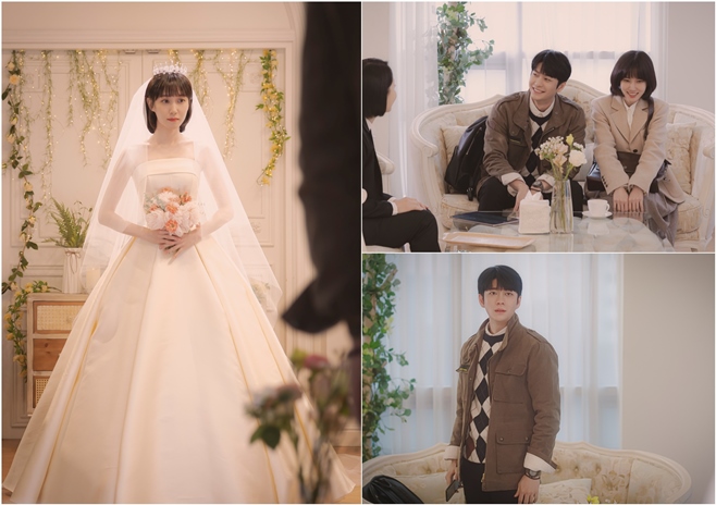 �̻��� ��ȣ�� �쿵��