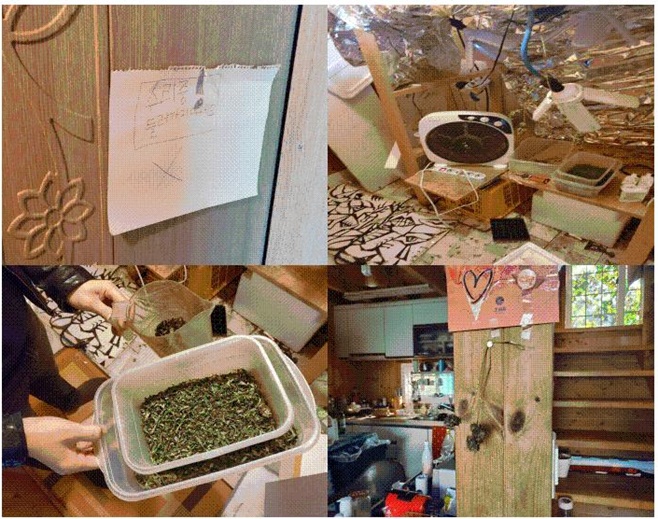 대마 사범 40대 가수 미성년 자녀들이 있는 집에서 대마 재배