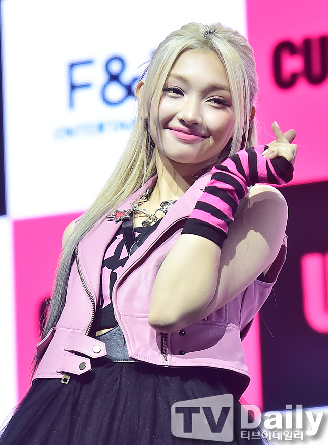 ƼºêÀ̵¥Àϸ® Æ÷Åä