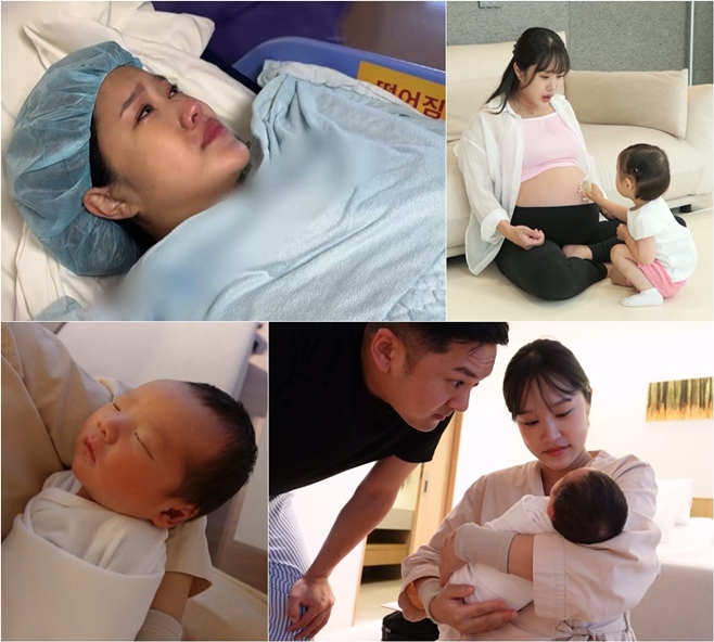 KBS2 ۸ ƿԴ, , 