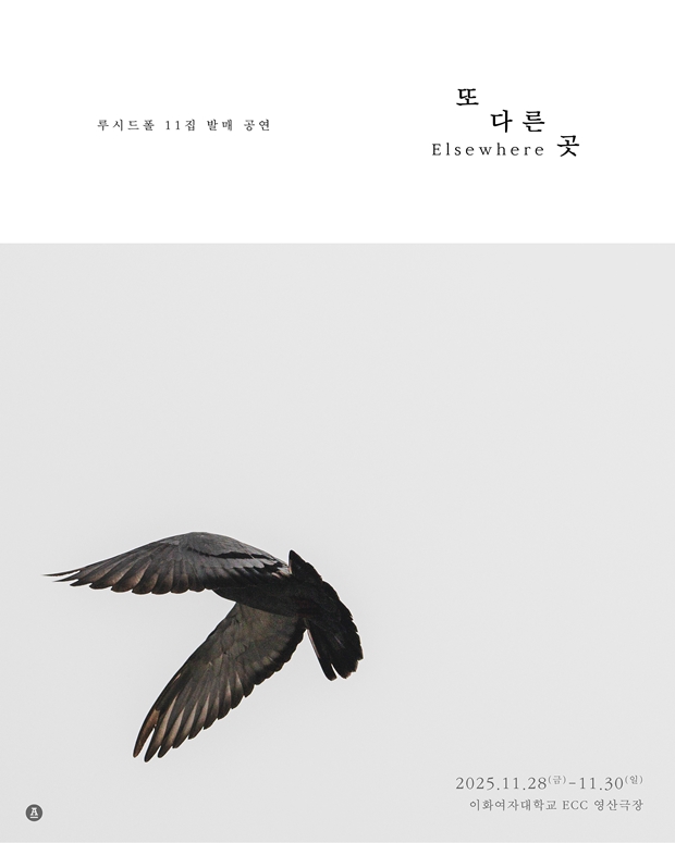 ƼºêÀ̵¥Àϸ® Æ÷Åä