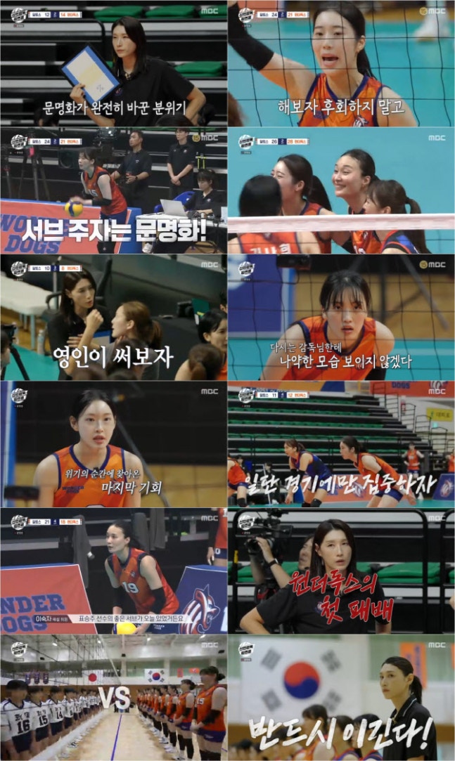 ƼºêÀ̵¥Àϸ® Æ÷Åä