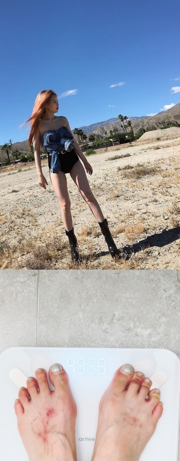 ƼºêÀ̵¥Àϸ® Æ÷Åä