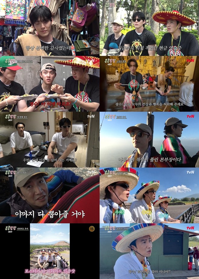 ƼºêÀ̵¥Àϸ® Æ÷Åä