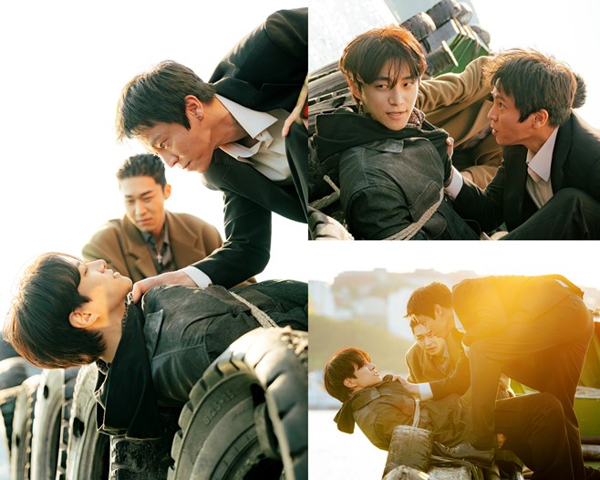 ƼºêÀ̵¥Àϸ® Æ÷Åä