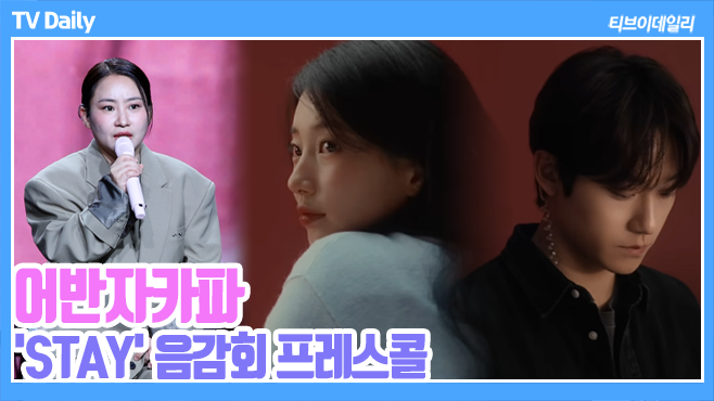 ƼºêÀ̵¥Àϸ® Æ÷Åä