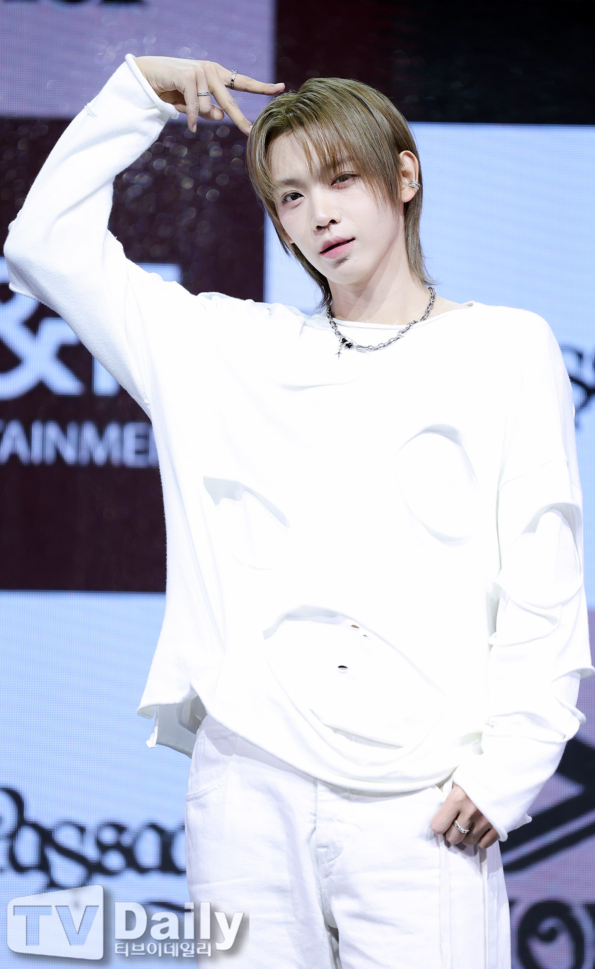 ƼºêÀ̵¥Àϸ® Æ÷Åä