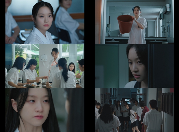 ƼºêÀ̵¥Àϸ® Æ÷Åä