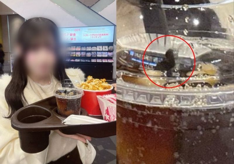 ƼºêÀ̵¥Àϸ® Æ÷Åä