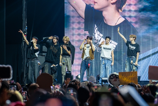 ƼºêÀ̵¥Àϸ® Æ÷Åä