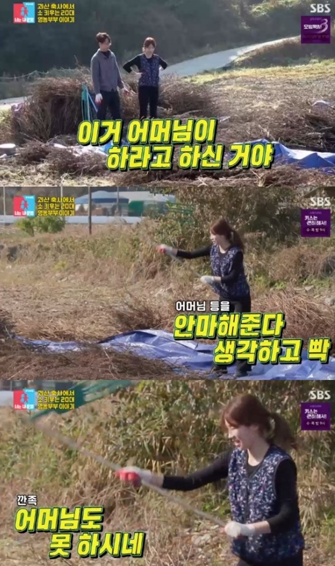 ƼºêÀ̵¥Àϸ® Æ÷Åä