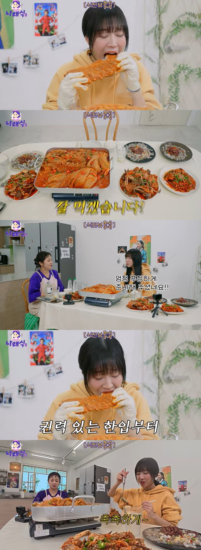 ƼºêÀ̵¥Àϸ® Æ÷Åä