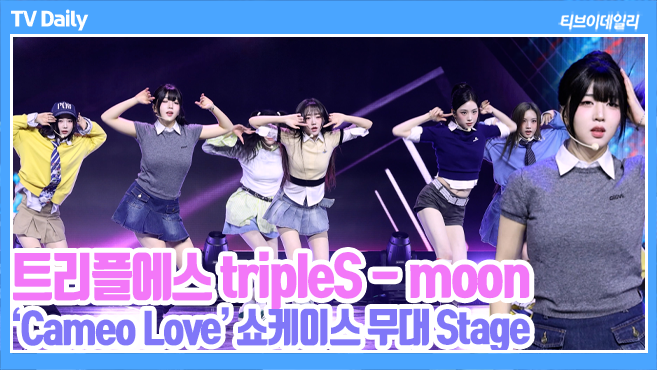 ƼºêÀ̵¥Àϸ® Æ÷Åä