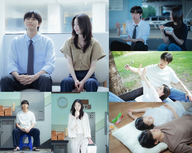 Ƽ���̵��ϸ� ����