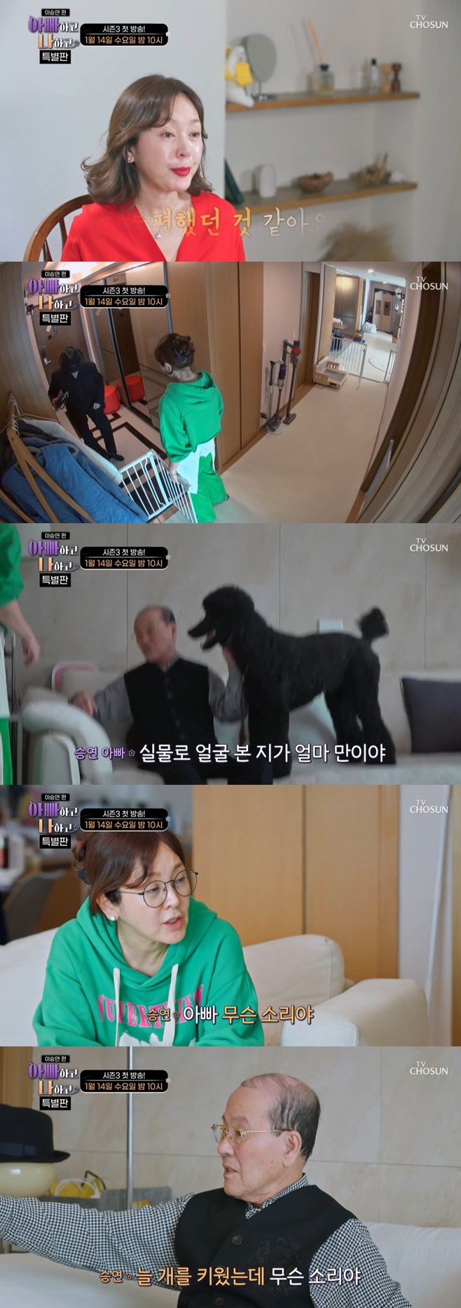 ƼºêÀ̵¥Àϸ® Æ÷Åä