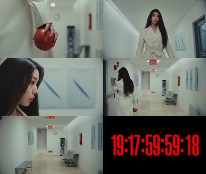 Ƽ���̵��ϸ� ����