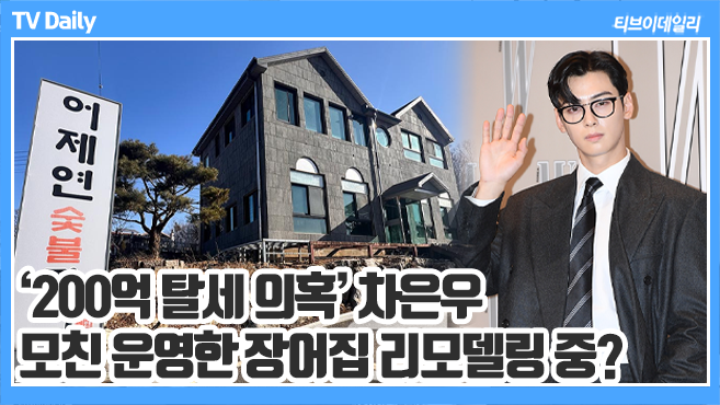 ƼºêÀ̵¥Àϸ® Æ÷Åä