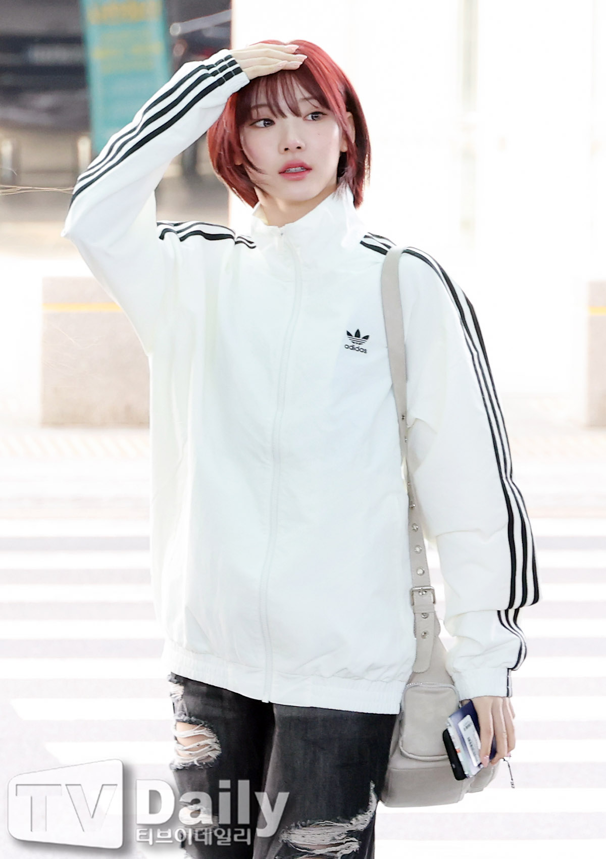 ƼºêÀ̵¥Àϸ® Æ÷Åä