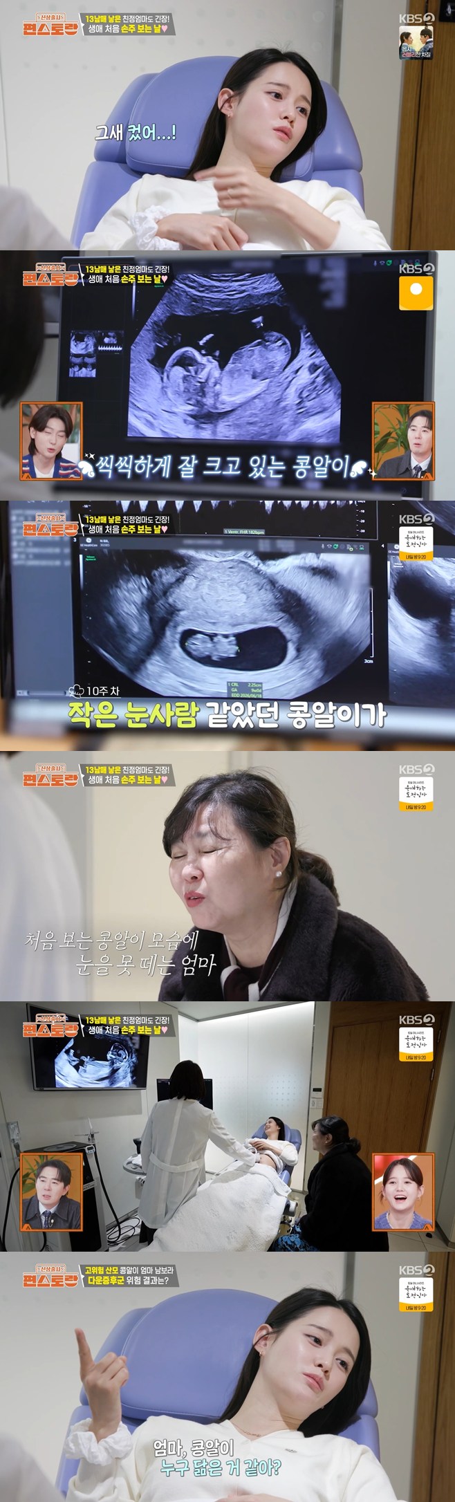 ƼºêÀ̵¥Àϸ® Æ÷Åä