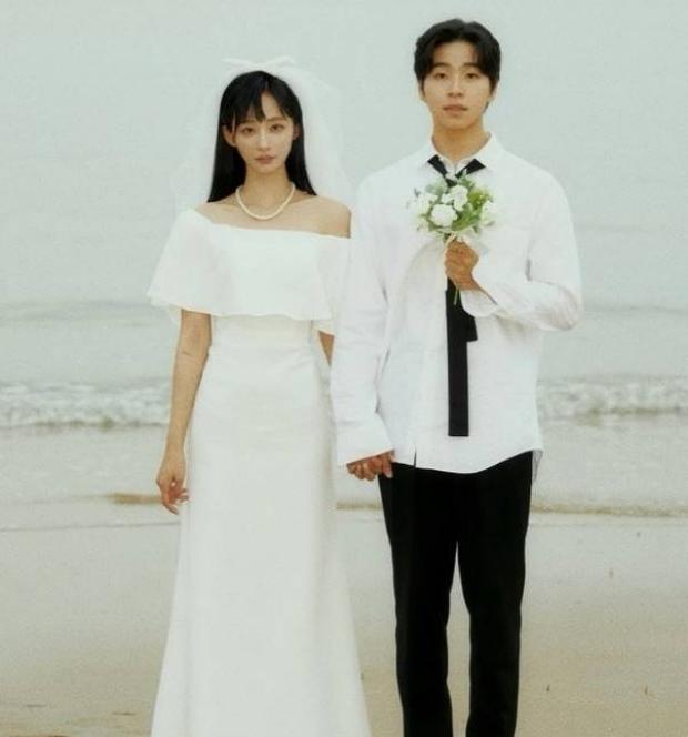 ������ �迹��