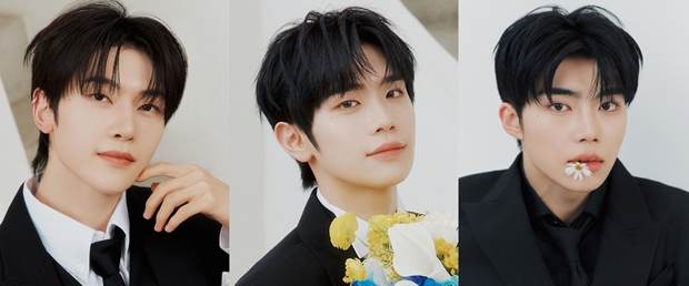 Ƽ���̵��ϸ� ����