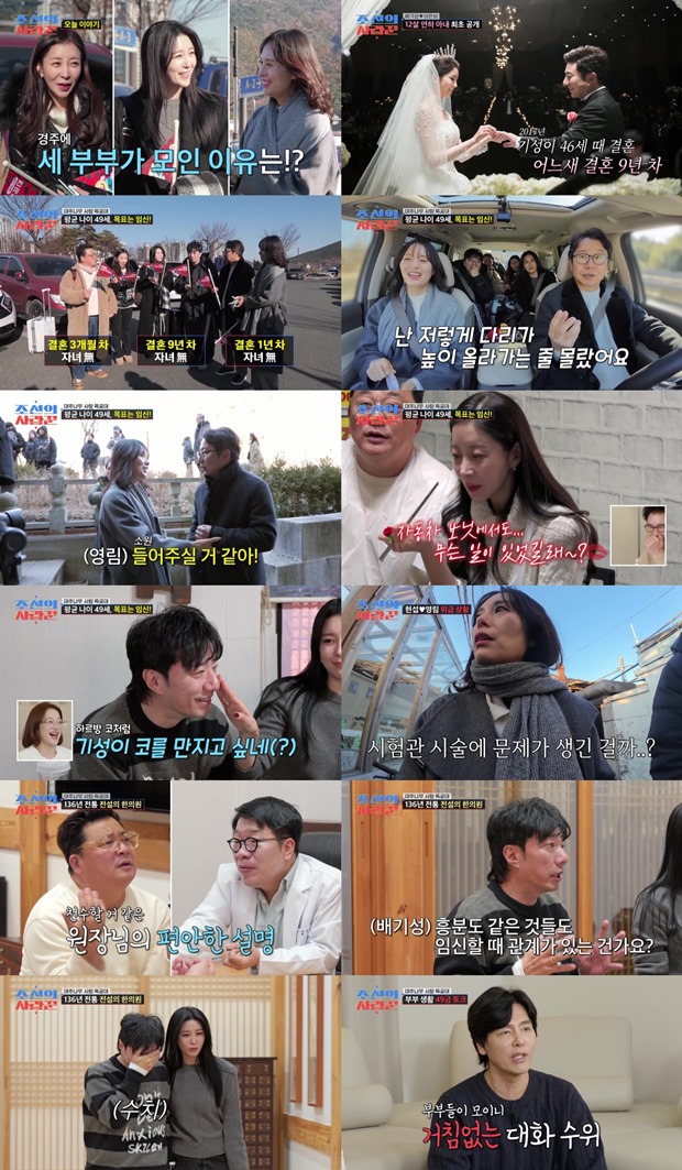 ������ �����