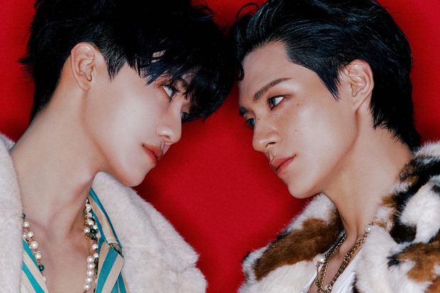 ����Ƽ �������