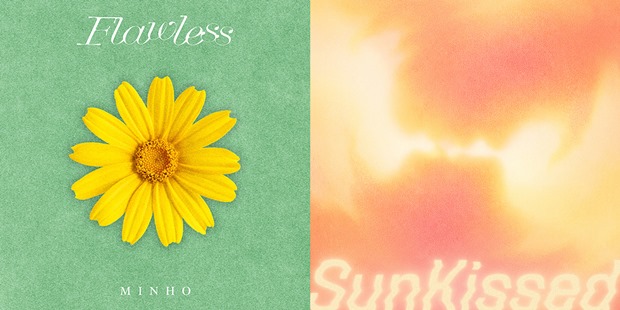 ���̴� ��ȣ