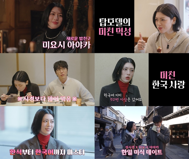 ���ø��� ��ģ����