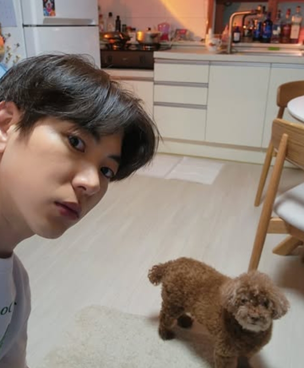 Ƽ���̵��ϸ� ����