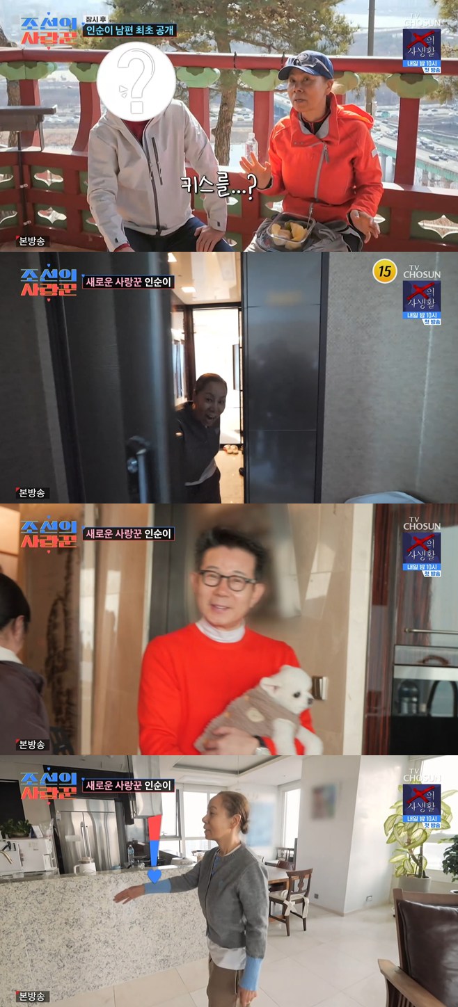 ƼºêÀ̵¥Àϸ® Æ÷Åä