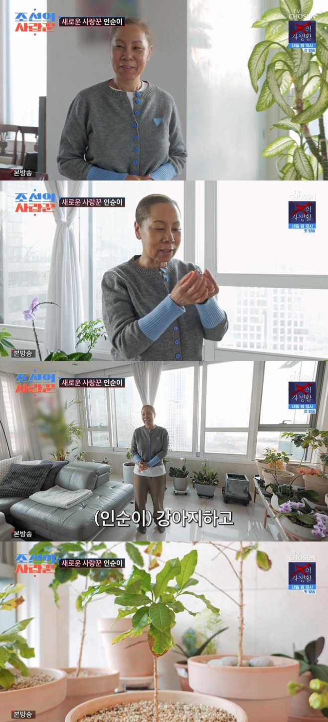 ƼºêÀ̵¥Àϸ® Æ÷Åä