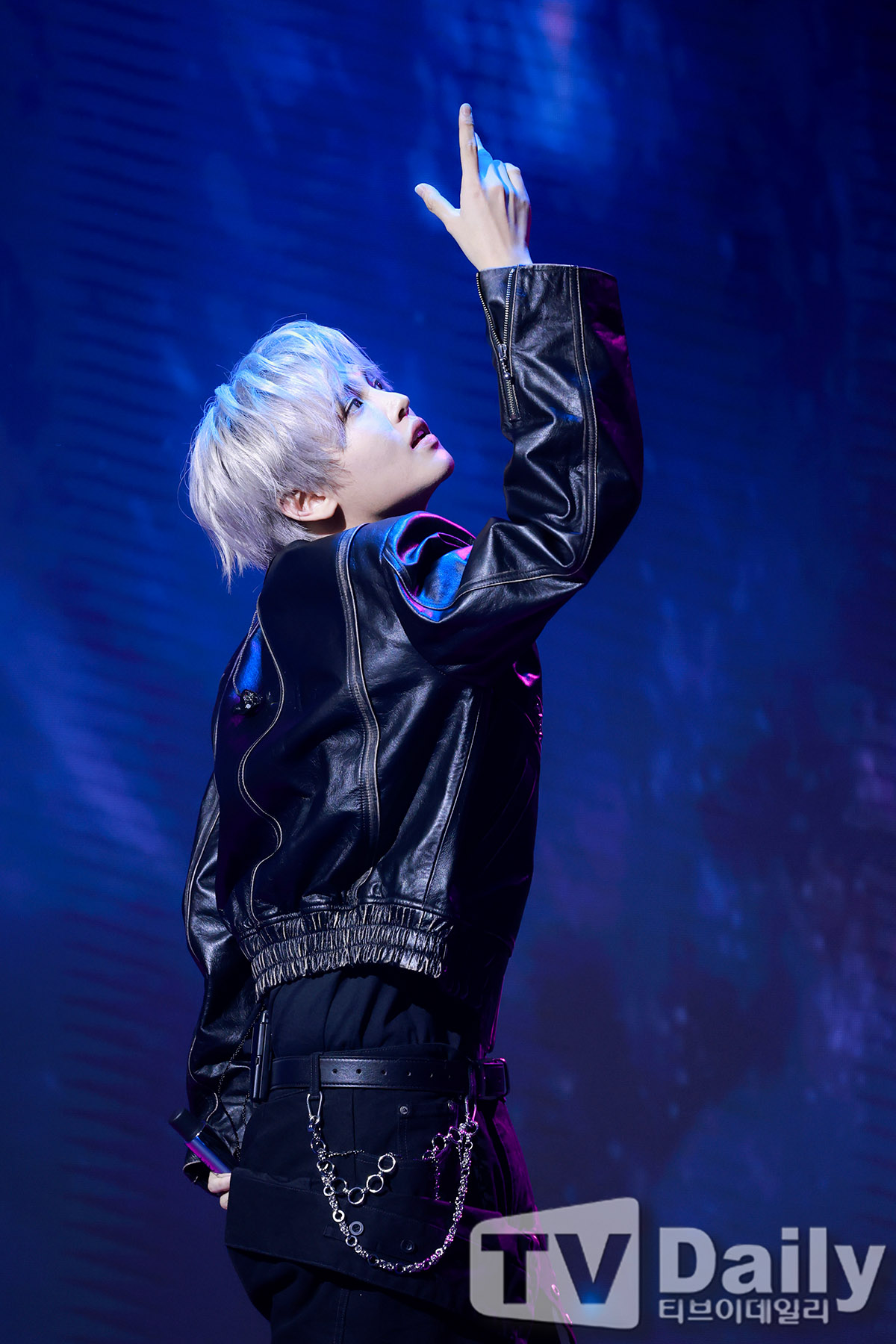 ƼºêÀ̵¥Àϸ® Æ÷Åä