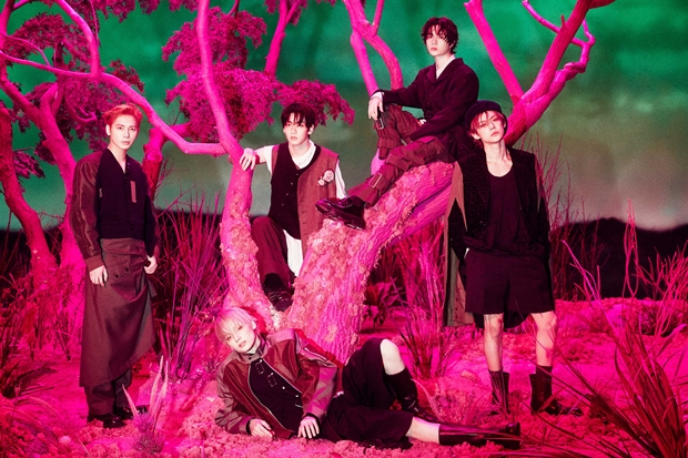 ����ο�������Դ�