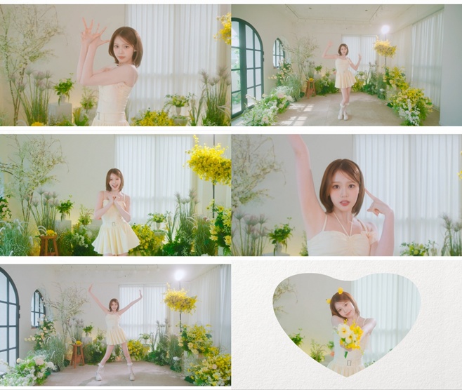 Ƽ���̵��ϸ� ����