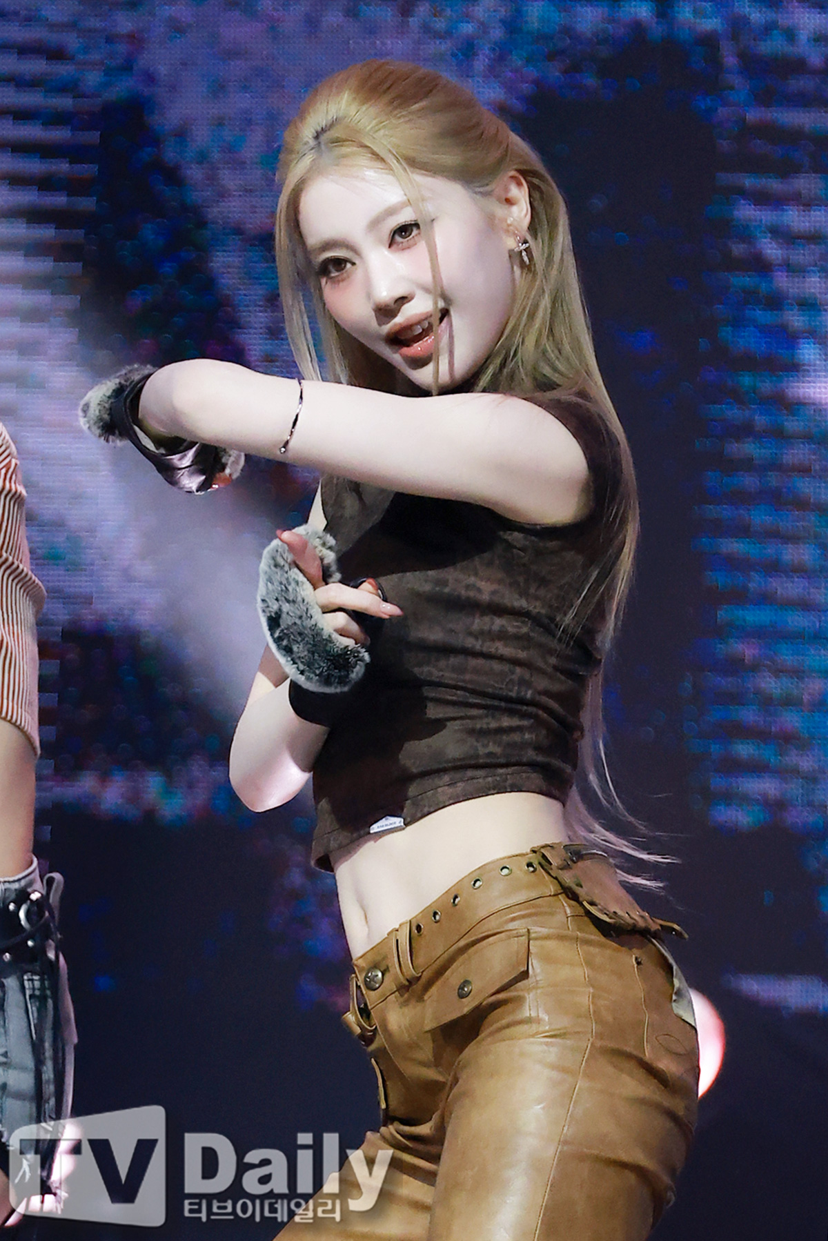 ƼºêÀ̵¥Àϸ® Æ÷Åä